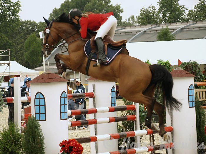 img00049.jpg